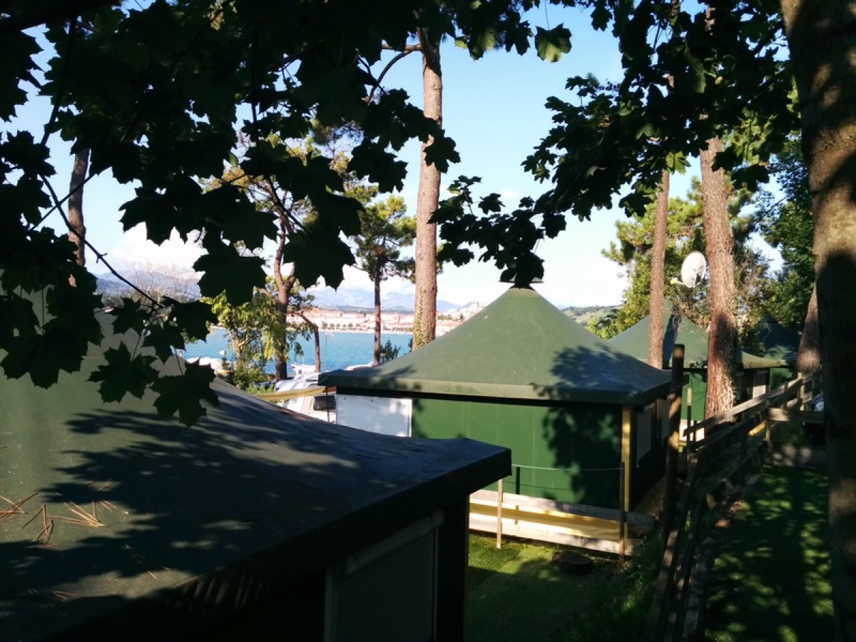Árboles y vista bahía San Vicente de la Barquera desde bungalows, Cantabria